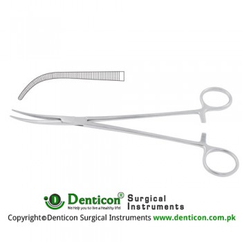 Kelly Dissecting and Ligature Forcep Fig. 2 Stainless Steel, 22 cm - 8 3/4"